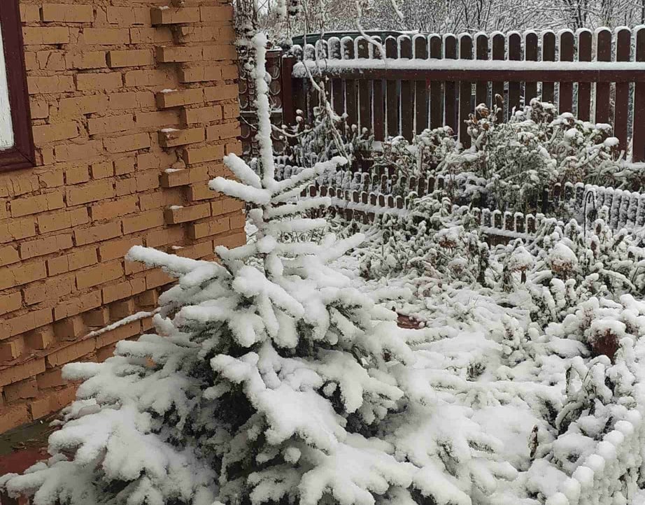 alekcangp.lens Lens social identity (.lens handle) PFP