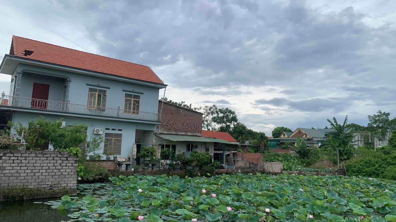 trieueth.lens Lens social identity (.lens handle) PFP