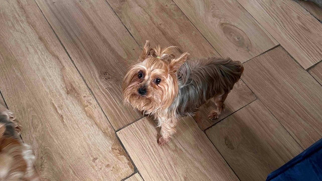 krlinchi.eth Ethereum Name Service (ENS and .eth domain) PFP