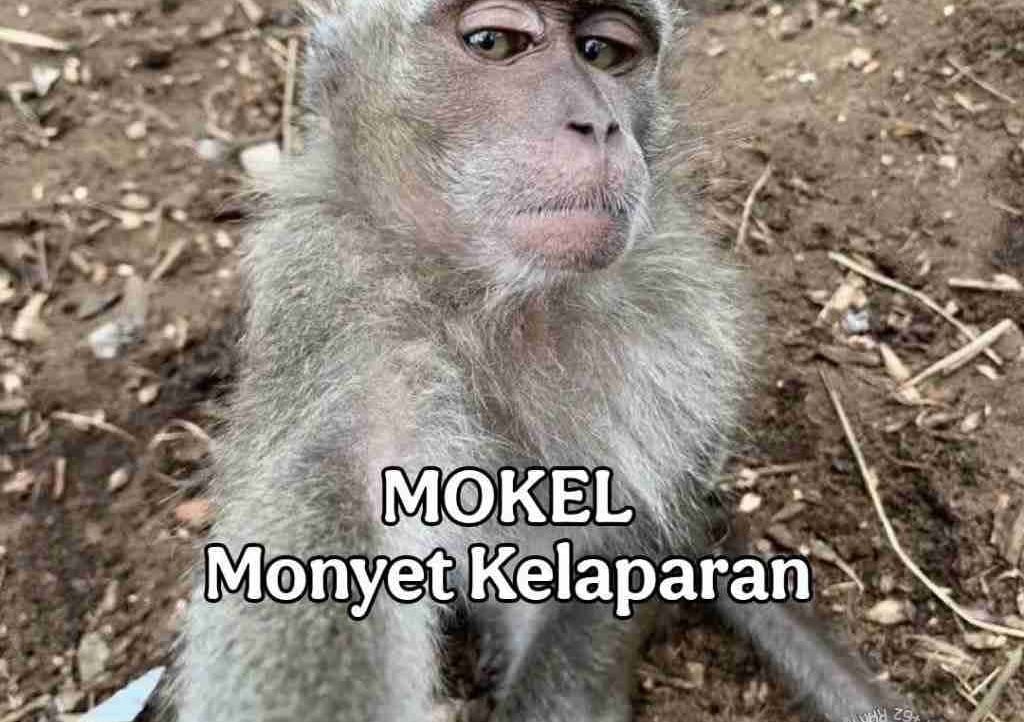 fate (fateskyblade) Farcaster social identity (Fname handle) PFP