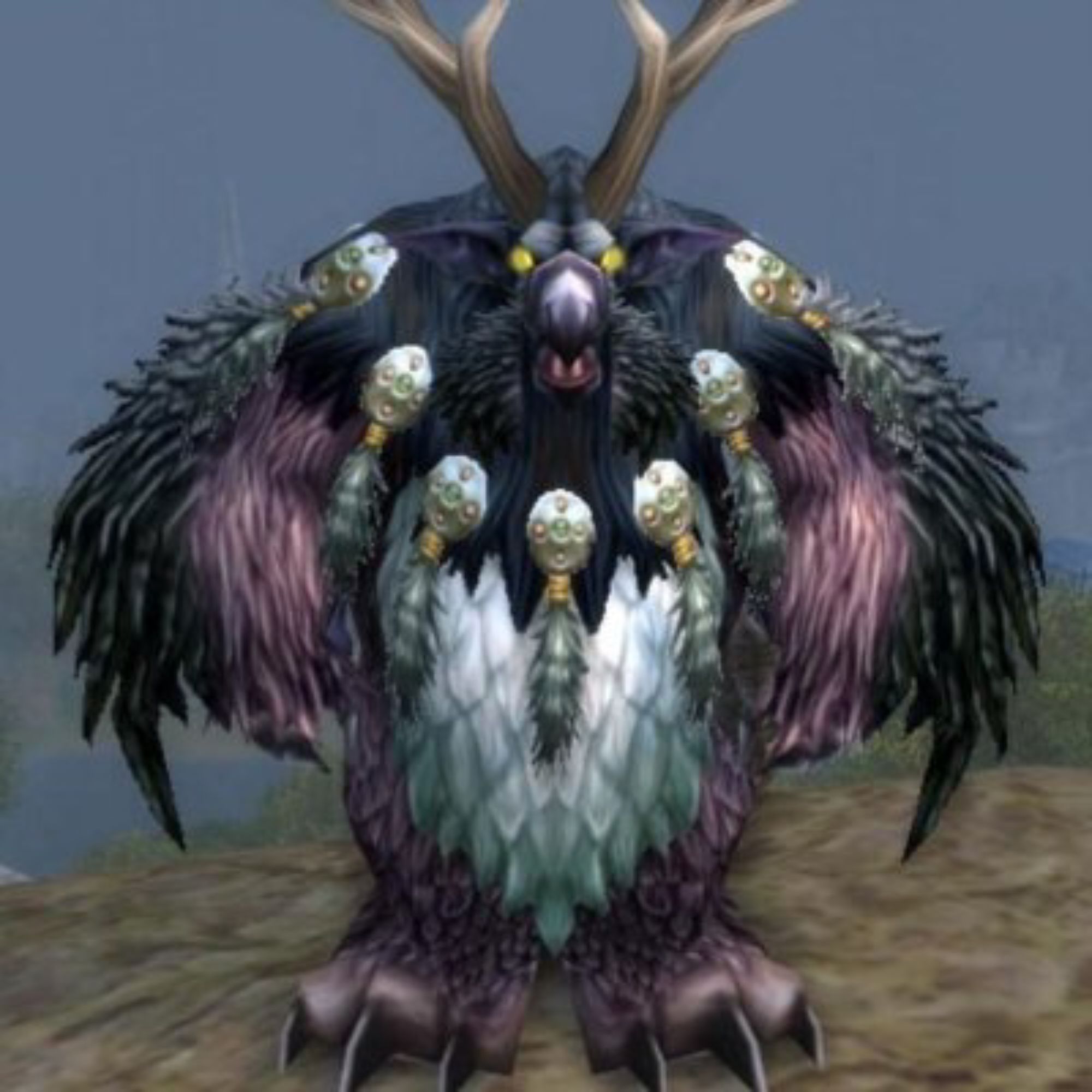 name the name animal is eth