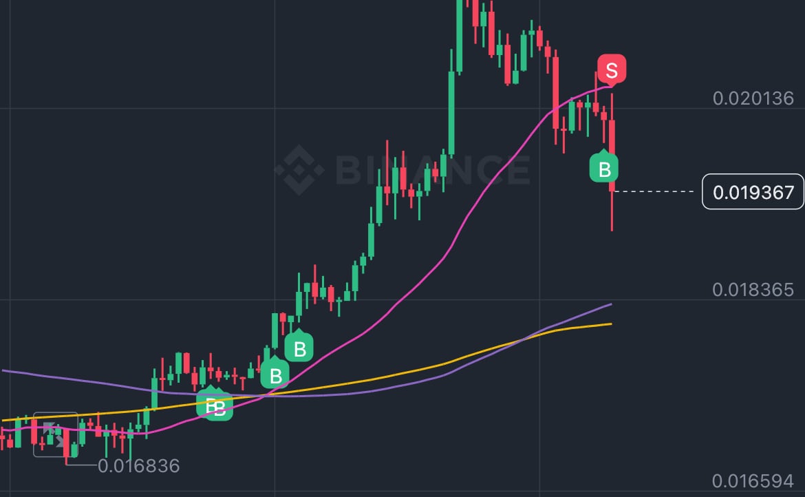 Magikarp555 (magikarp555.lens) Lens social identity (.lens handle) PFP