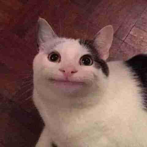 loimn.lens Lens social identity (.lens handle) PFP