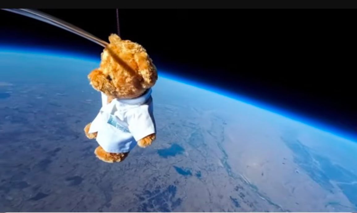 space bear