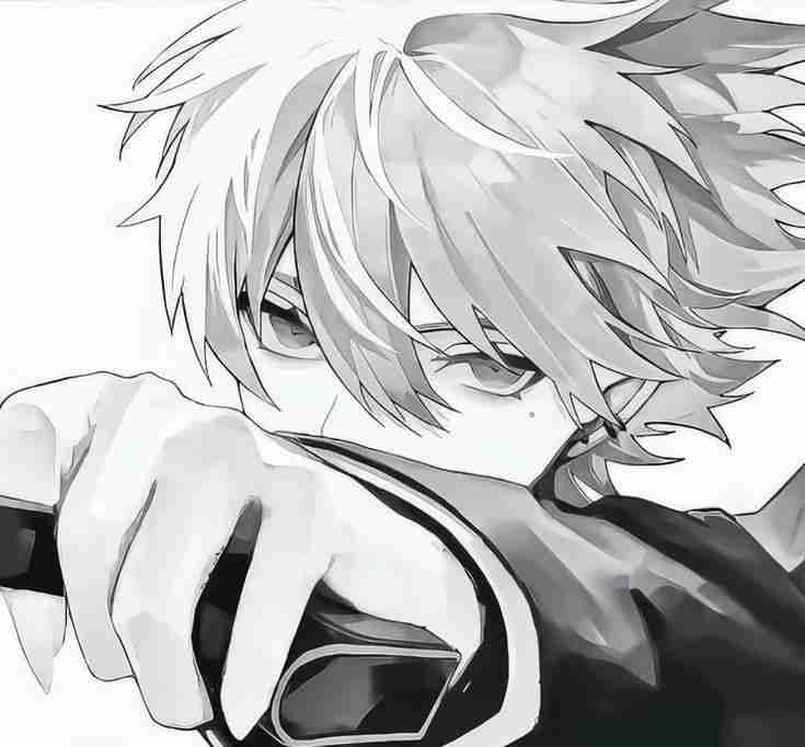 sidzuru's Farcaster avatar