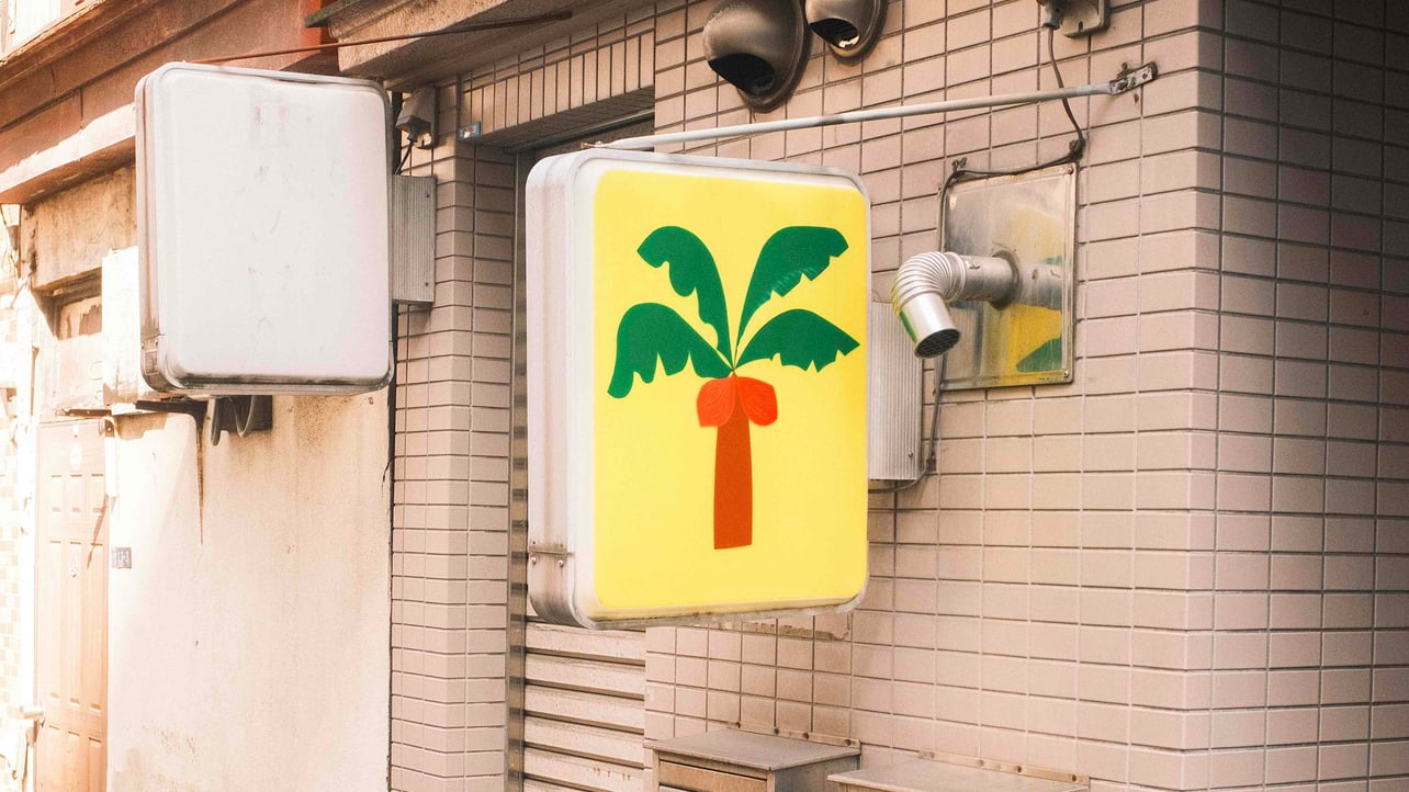 Kale 1 pfp