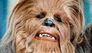 alikmalik1991.lens Lens social identity (.lens handle) PFP