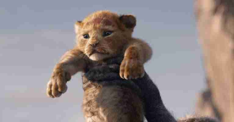 Simba_filius Mufasae pfp