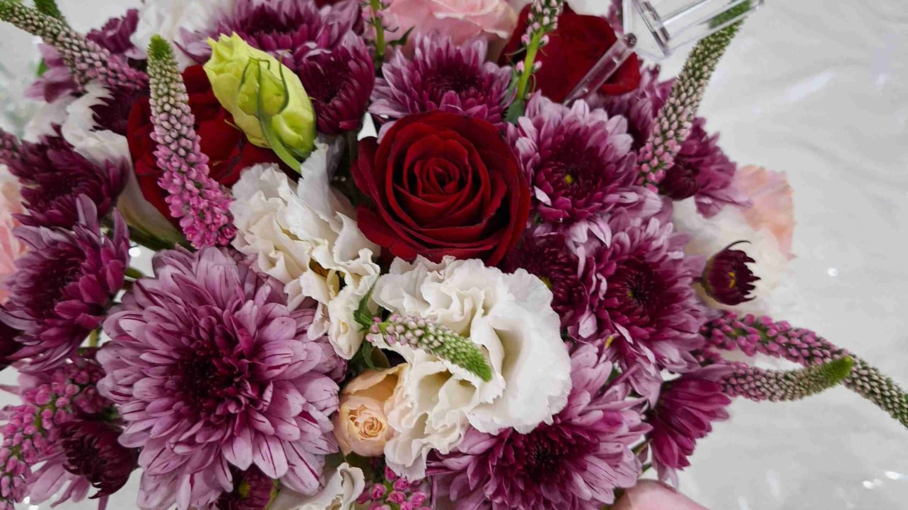 Mojtaba (mojtabaebi) Farcaster social identity (Fname handle) PFP