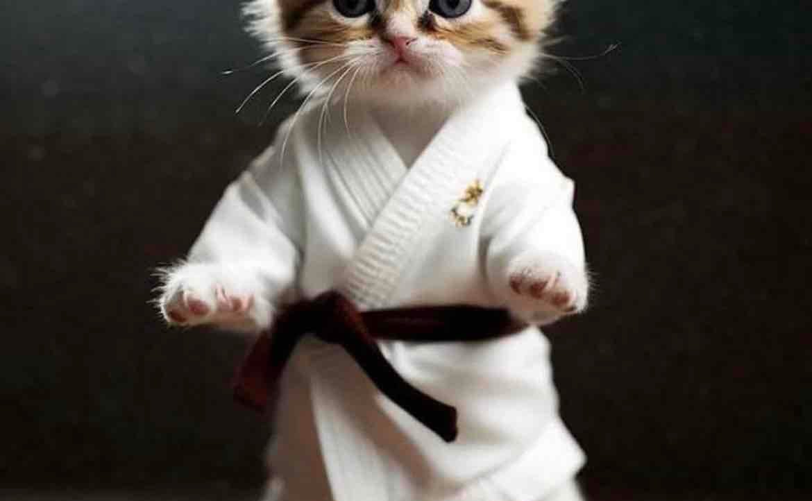 lordstalin Farcaster social identity (Fname handle) PFP