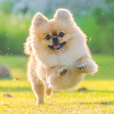 Nina (nina2014) Farcaster social identity (Fname handle) PFP