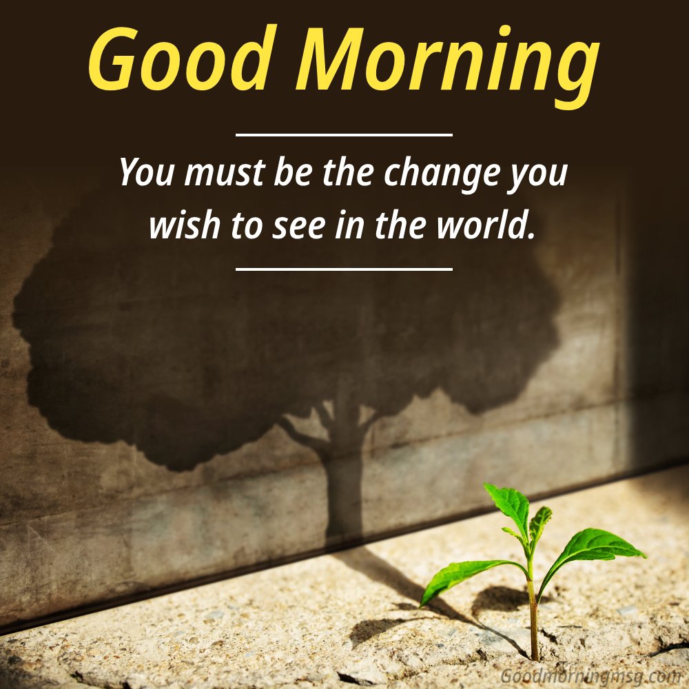 https://imagedelivery.net/BXluQx4ige9GuW0Ia56BHw/dfaae31e-a42b-41c7-b1ce-a3200fb77400/original