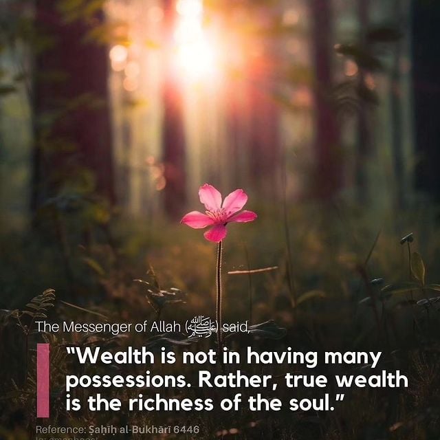 quester (fvpoppy) Farcaster social identity (Fname handle) PFP