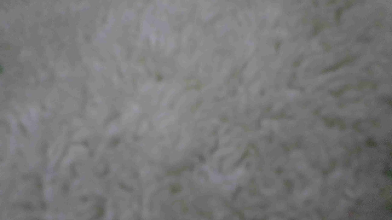 Vasha Mama (mamka228.lens) Lens social identity (.lens handle) PFP