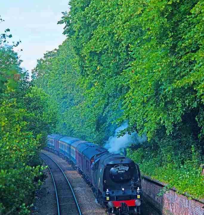 Samiha Arya (ishitasachdeva) Farcaster social identity (Fname handle) PFP