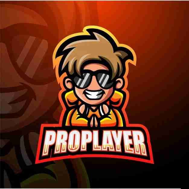 Pro Looter 😎 pfp