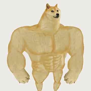 Boss Doge pfp