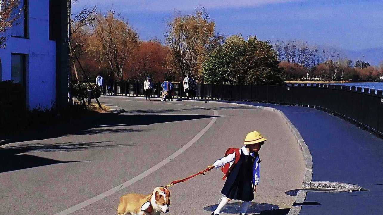 icey (icey4186.lens) Lens social identity (.lens handle) PFP