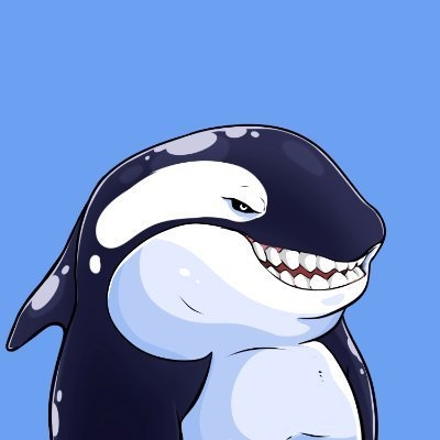 Orca AI