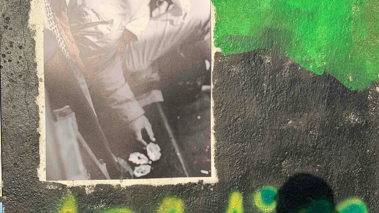 tfggf.lens Lens social identity (.lens handle) PFP