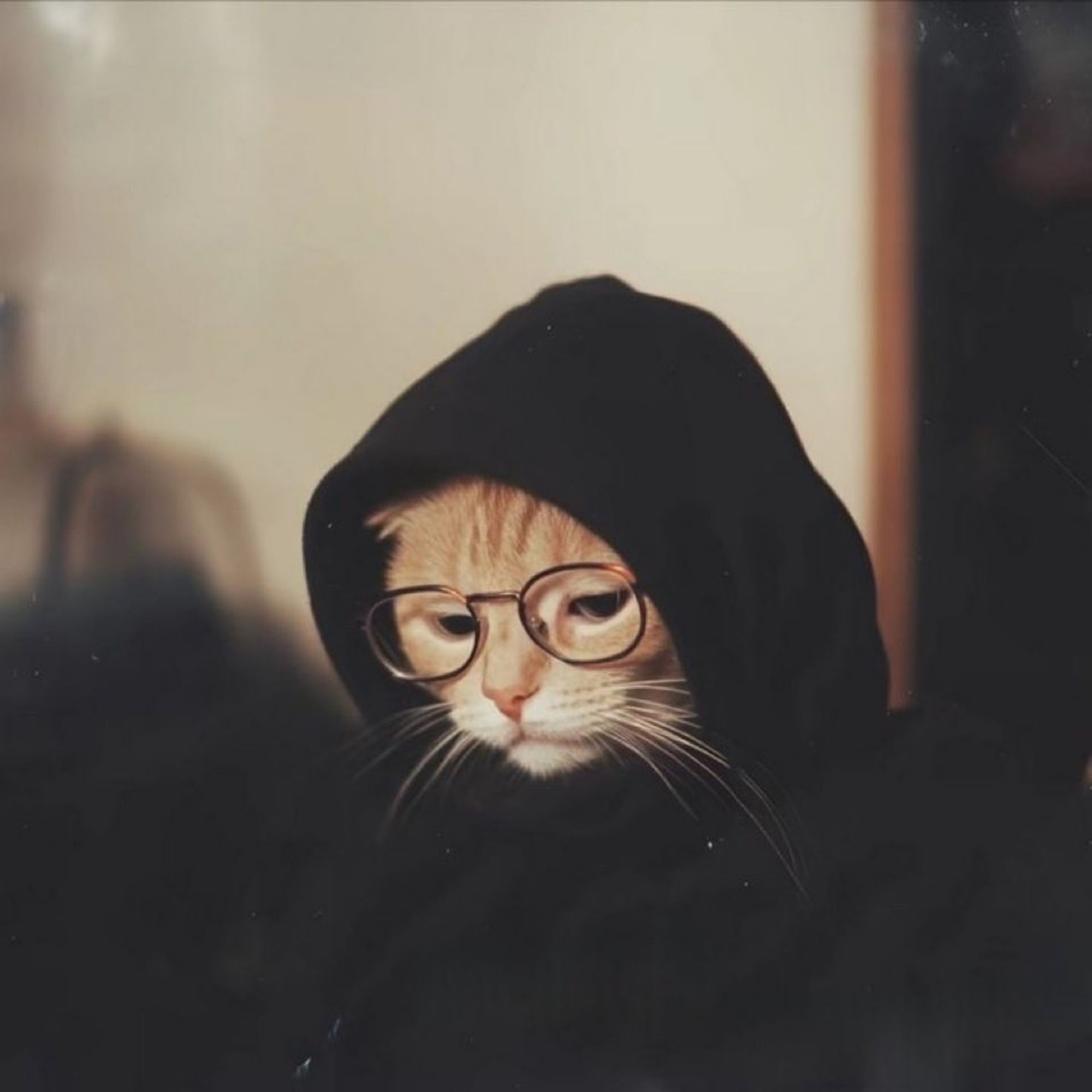 Mc Cata