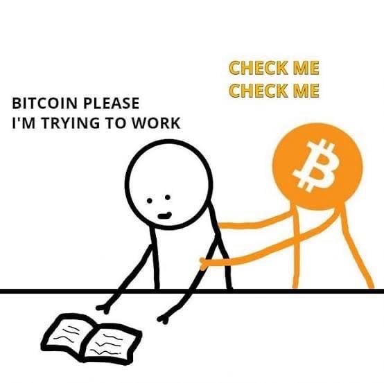 https://imagedelivery.net/BXluQx4ige9GuW0Ia56BHw/e26046c0-b92e-4e15-dc30-a26ec272b400/original