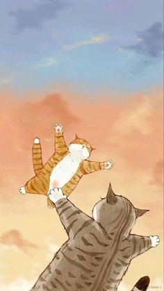 CATS