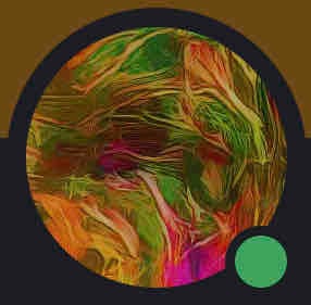 Nomad pfp