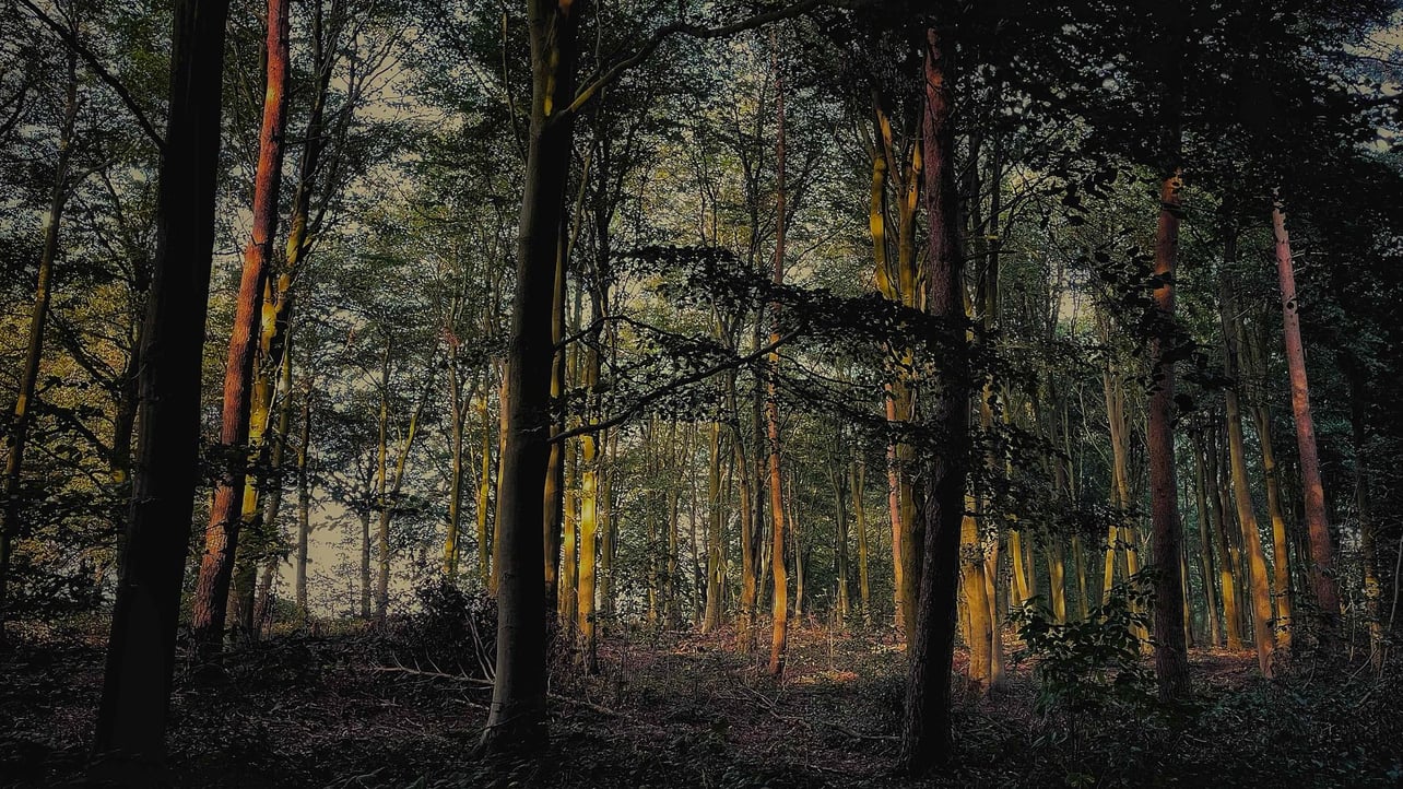 dedds Farcaster social identity (Fname handle) PFP