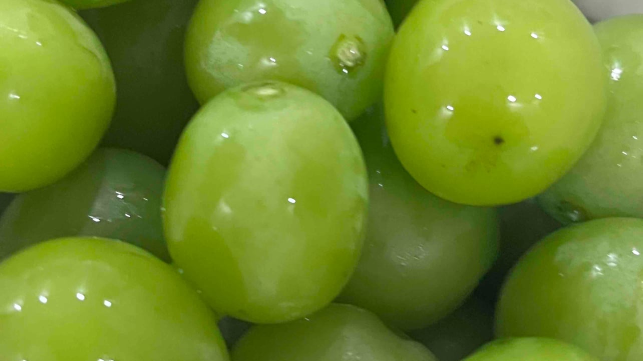 kaixin (kaixinjiuhao1) Farcaster social identity (Fname handle) PFP