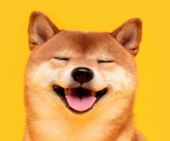 Olivercito (olivercito) Farcaster social identity (Fname handle) PFP