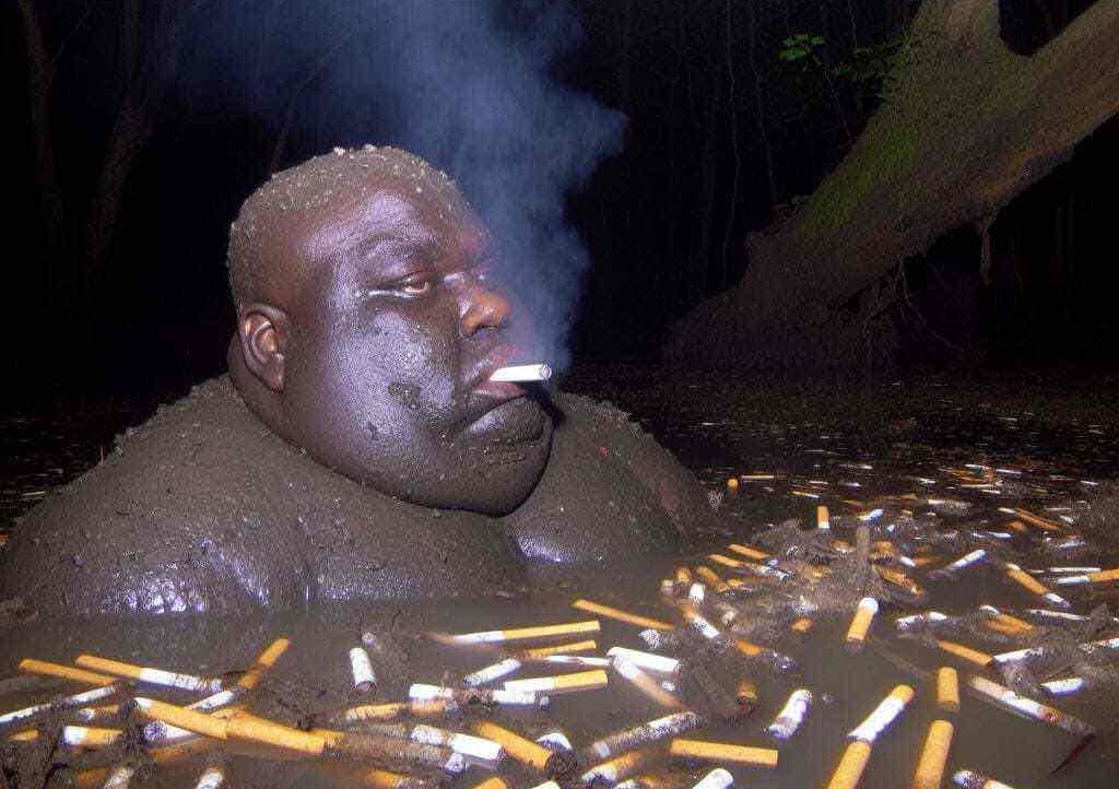 seejysun Farcaster social identity (Fname handle) PFP