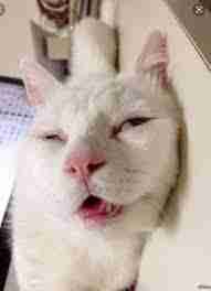 Marilyn Roberts (marilynroberts) Farcaster social identity (Fname handle) PFP