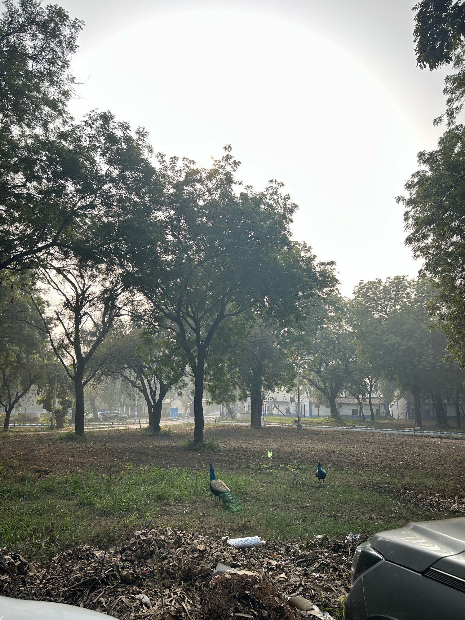 https://imagedelivery.net/BXluQx4ige9GuW0Ia56BHw/e5ae61ef-97cb-47ad-bdf6-4a221b6b4500/original