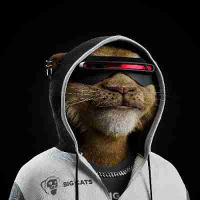 Piki_eth pfp