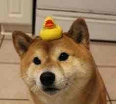 ey09 Farcaster social identity (Fname handle) PFP