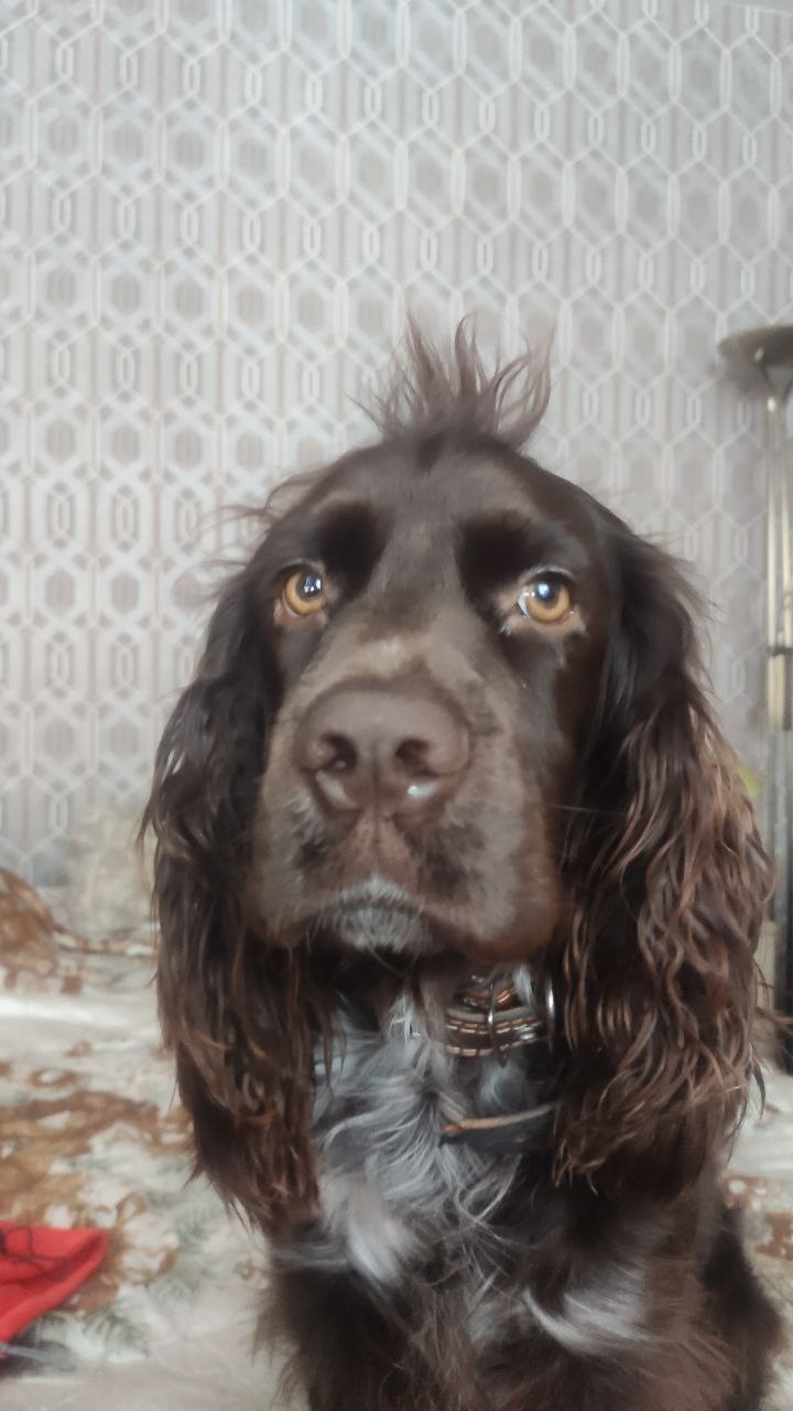 stayer.lens Lens social identity (.lens handle) PFP