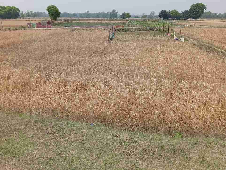 christabelad (christabelad.lens) Lens social identity (.lens handle) PFP