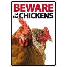 $chickens