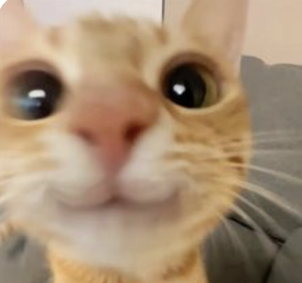 mossyshore pfp