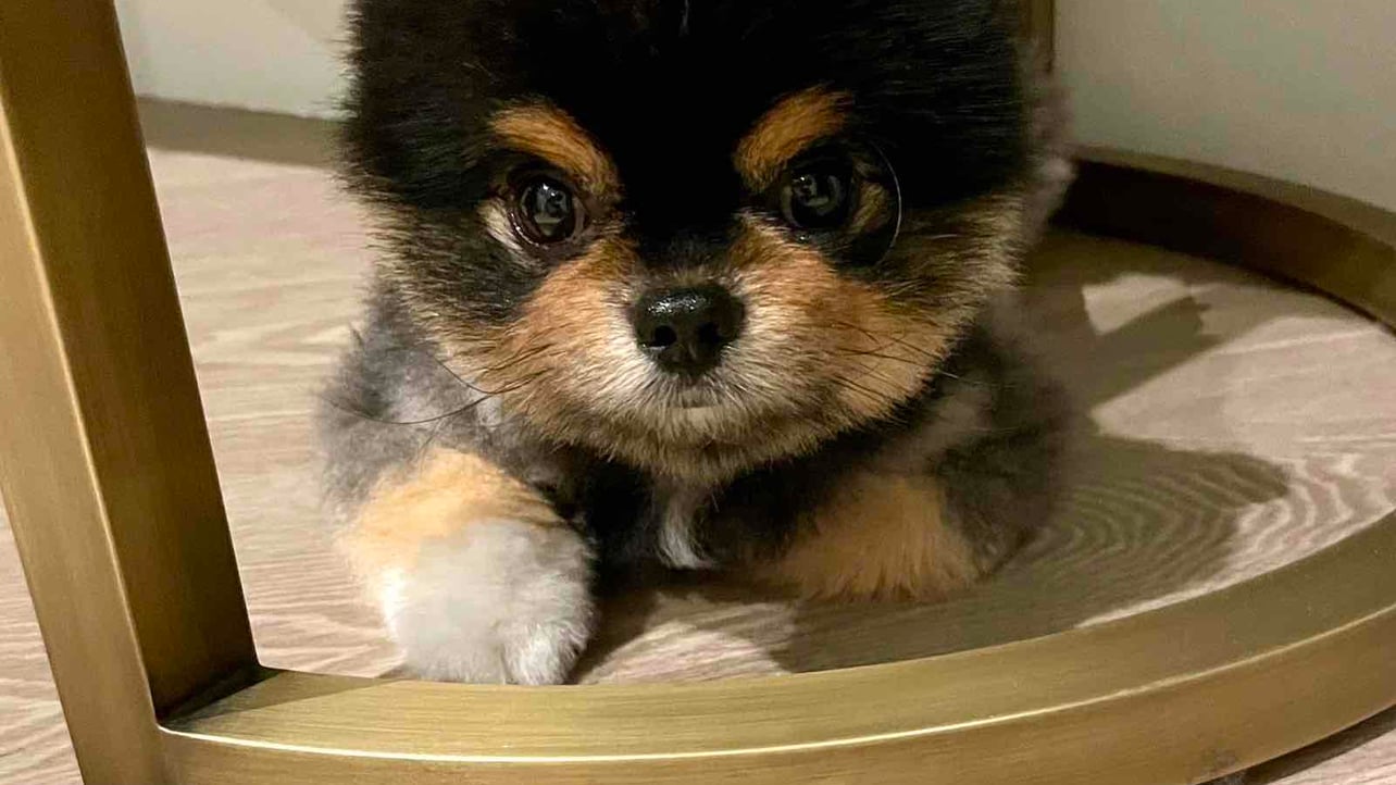 mb (mbs2mb.lens) Lens social identity (.lens handle) PFP