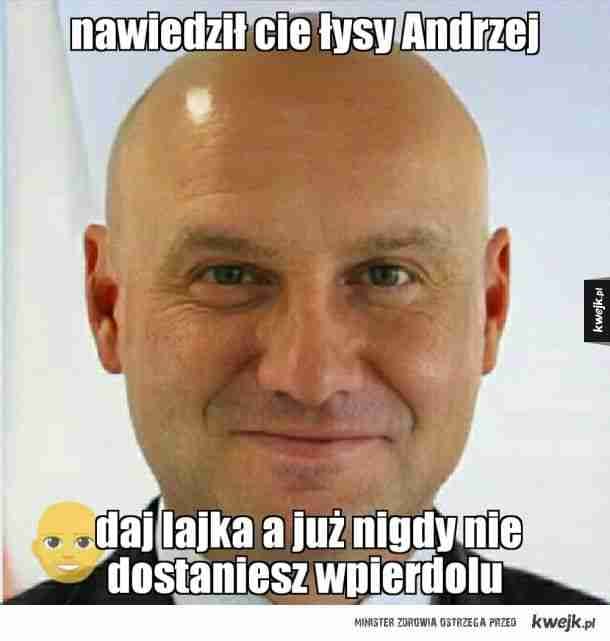 Łysy DUDA pfp