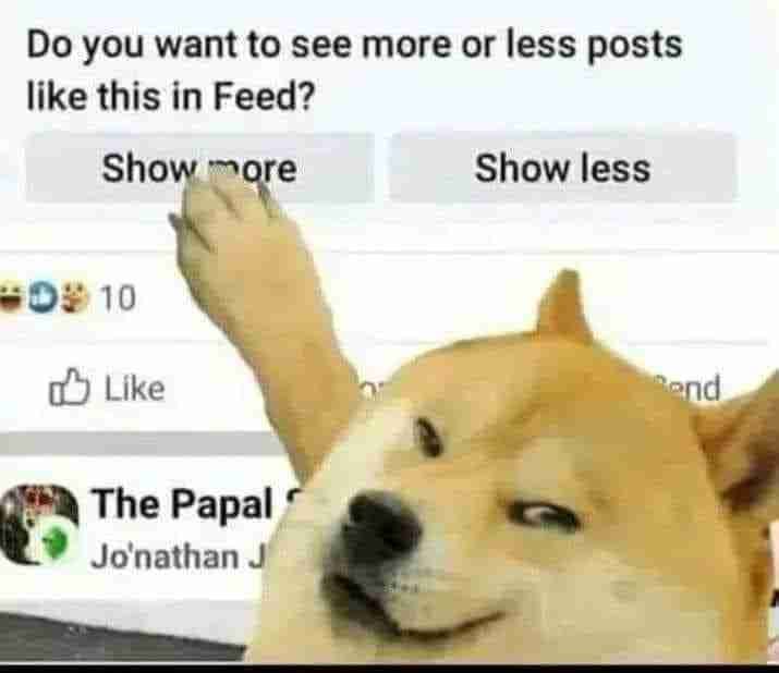 Jeff (jeffprod) Farcaster social identity (Fname handle) PFP