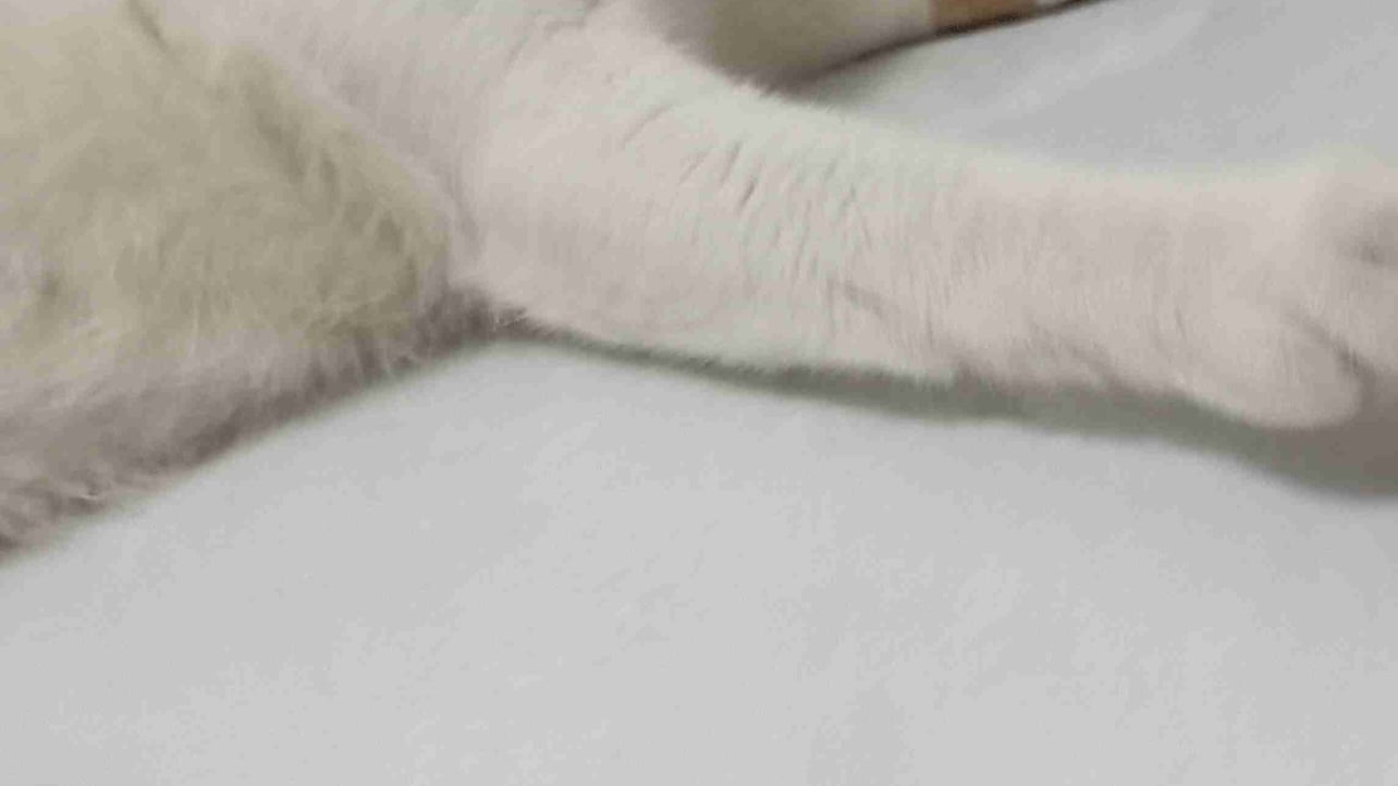 0xdaredevil.lens Lens social identity (.lens handle) PFP