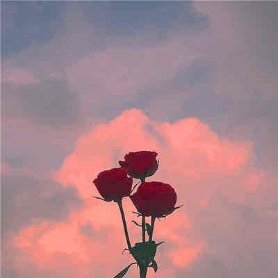 vdldjdhdudheogjdkdj.lens Lens social identity (.lens handle) PFP