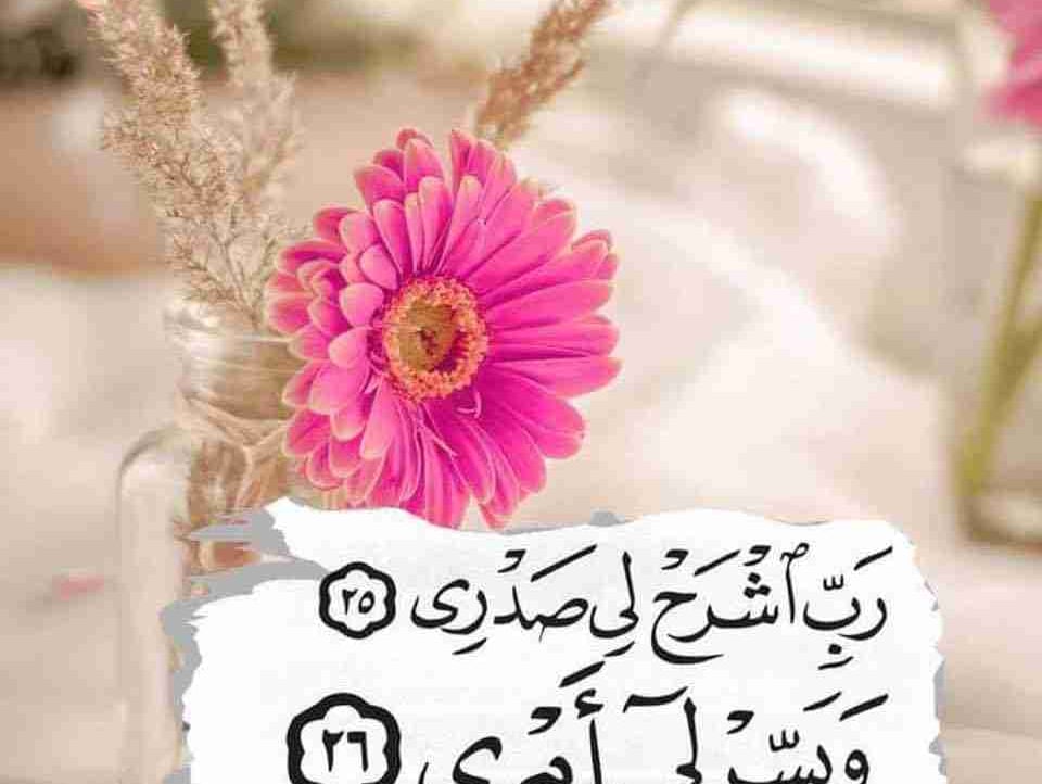 Abdulmajeed pfp