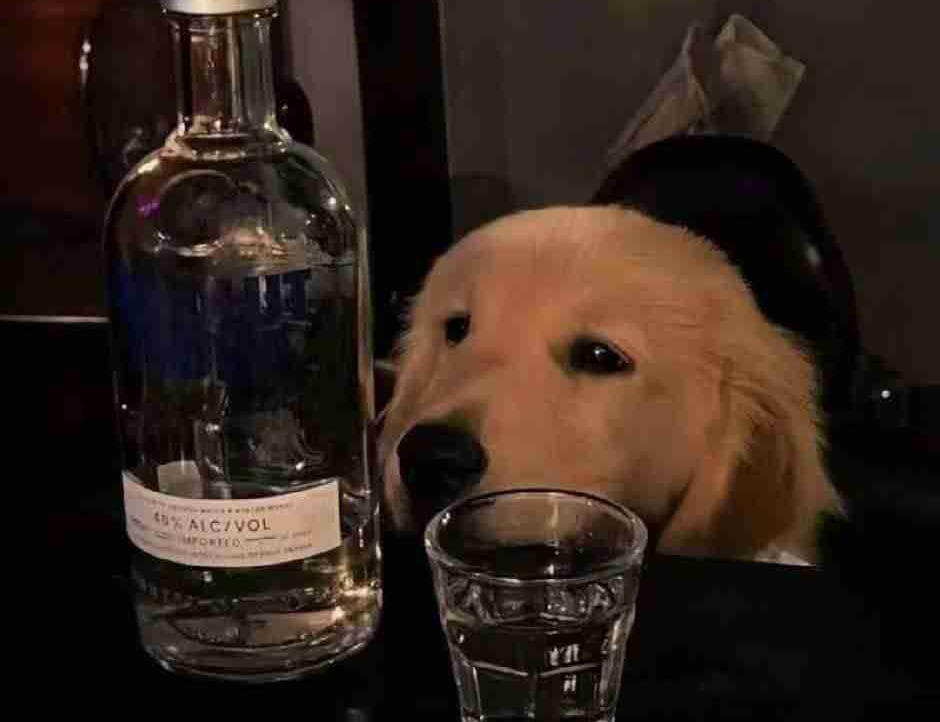 grumpy22 Farcaster social identity (Fname handle) PFP