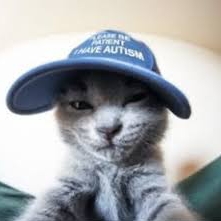 Darfika (ardiduabel) Farcaster social identity (Fname handle) PFP