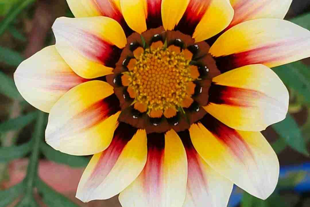 imtiyaz1012.lens Lens social identity (.lens handle) PFP