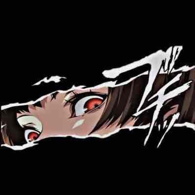 V pfp